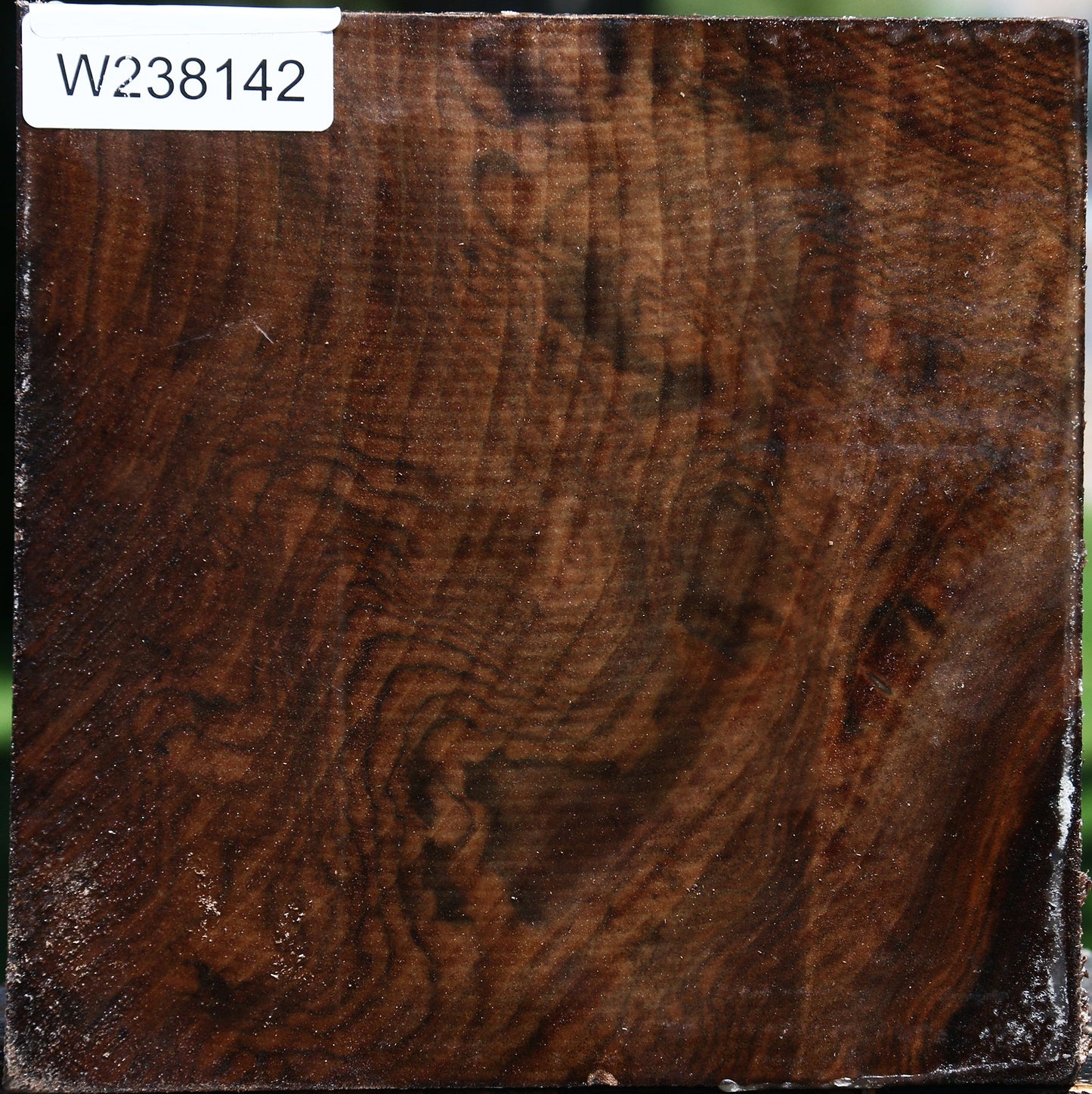 Figured Claro Walnut Bowl Blank