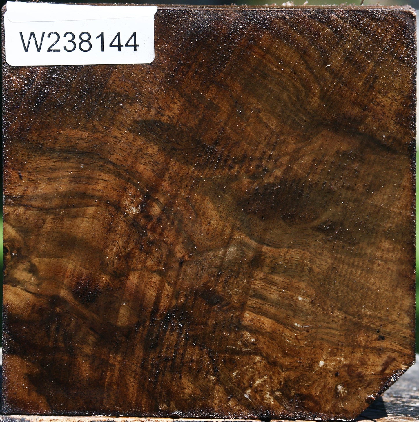 Claro Walnut Bowl Blank