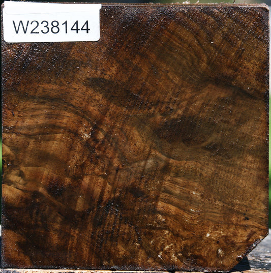 Claro Walnut Bowl Blank