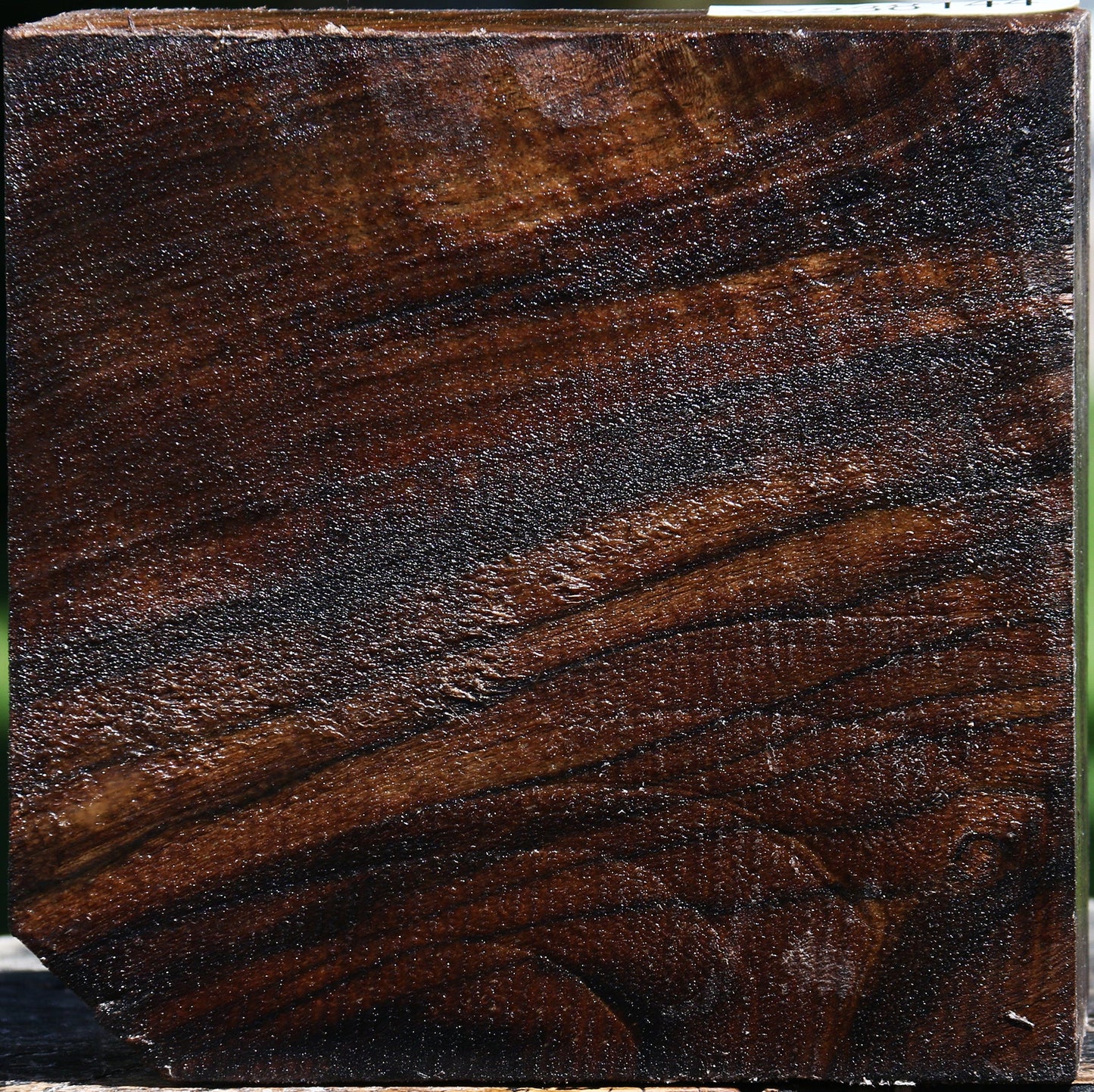 Claro Walnut Bowl Blank