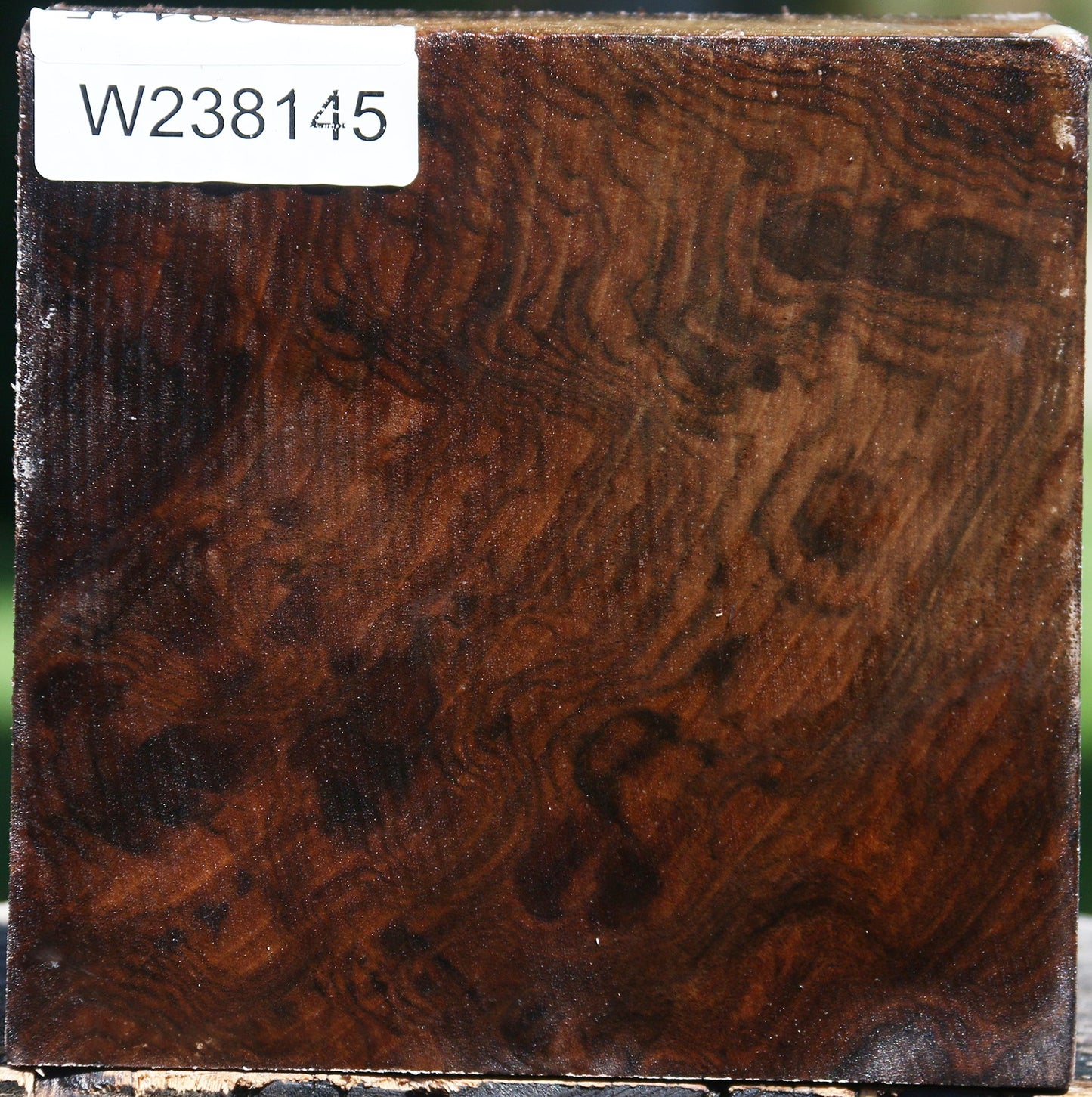 Figured Claro Walnut Bowl Blank