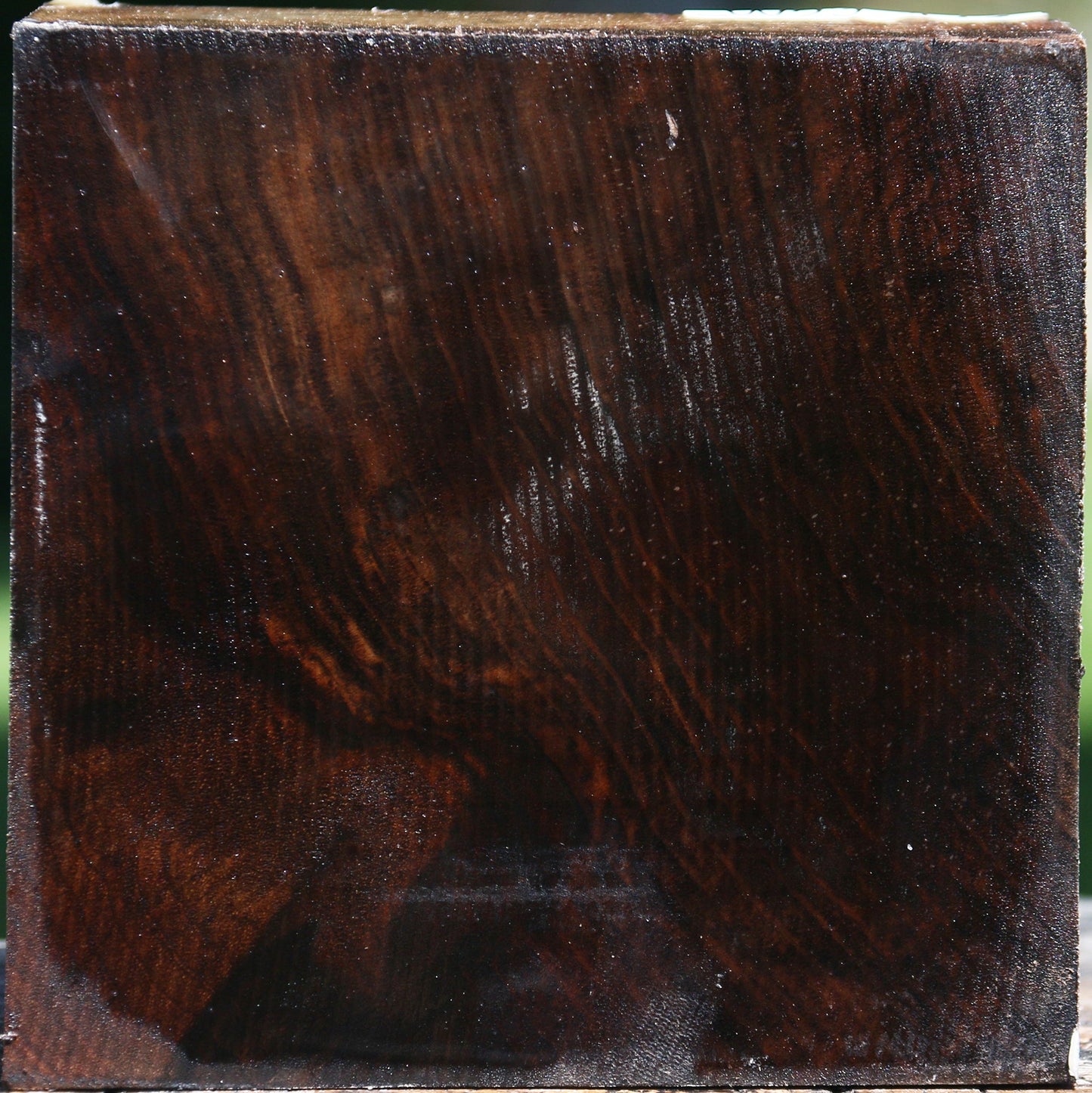 Figured Claro Walnut Bowl Blank