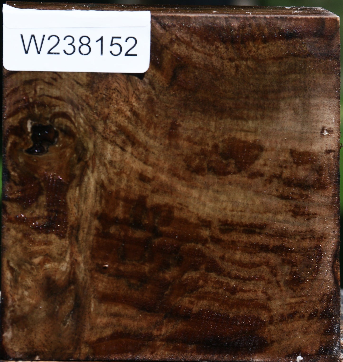 Extra Fancy Claro Walnut Bowl Blank