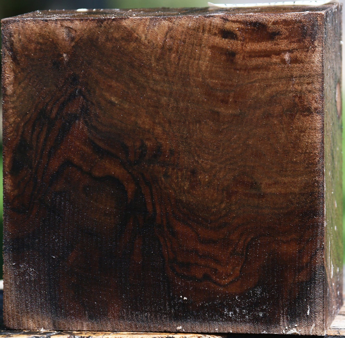 Claro Walnut Bowl Blank