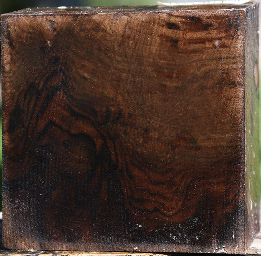 Claro Walnut Bowl Blank