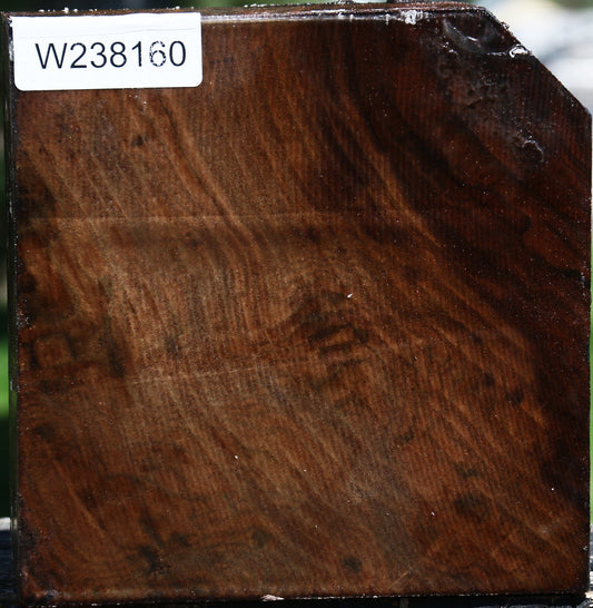 Claro Walnut Bowl Blank