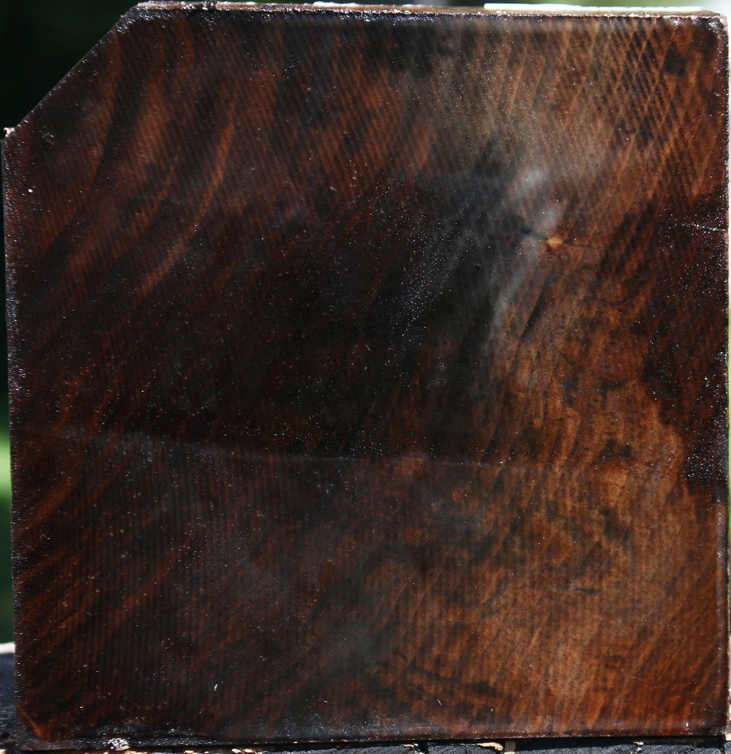 Claro Walnut Bowl Blank