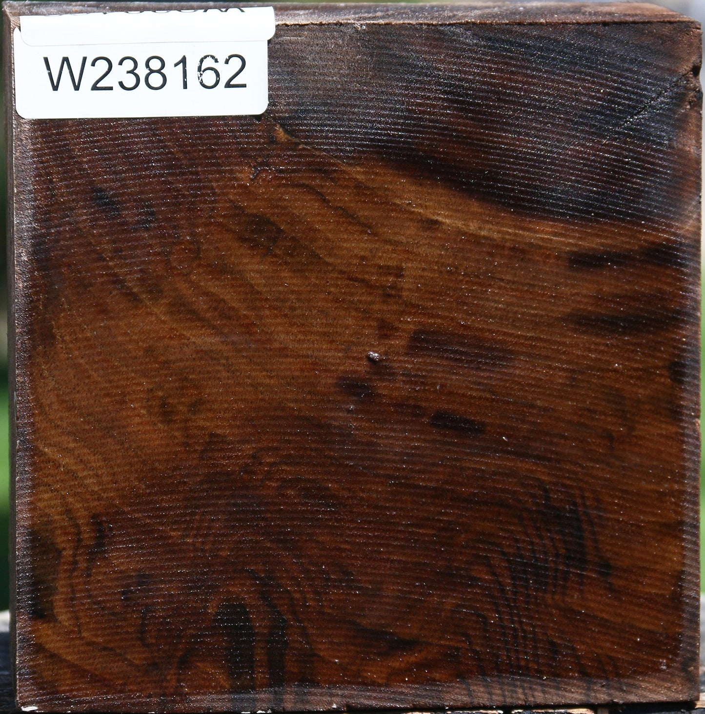 Extra Fancy Claro Walnut Bowl Blank