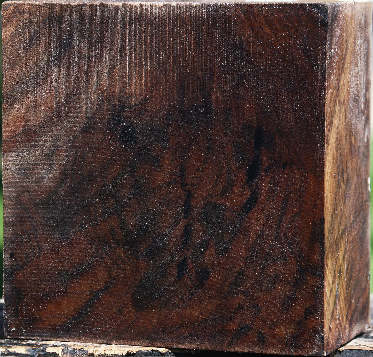 Extra Fancy Claro Walnut Bowl Blank