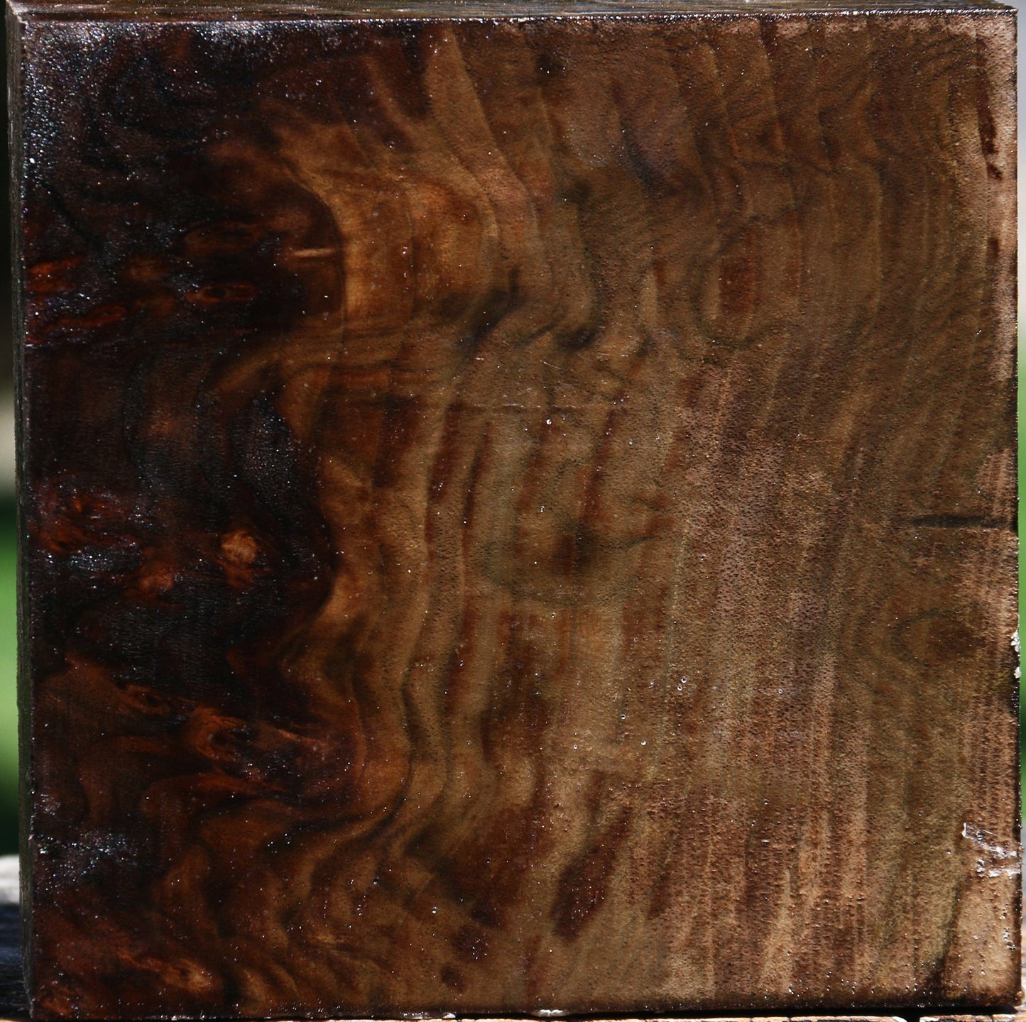 Figured Claro Walnut Bowl Blank