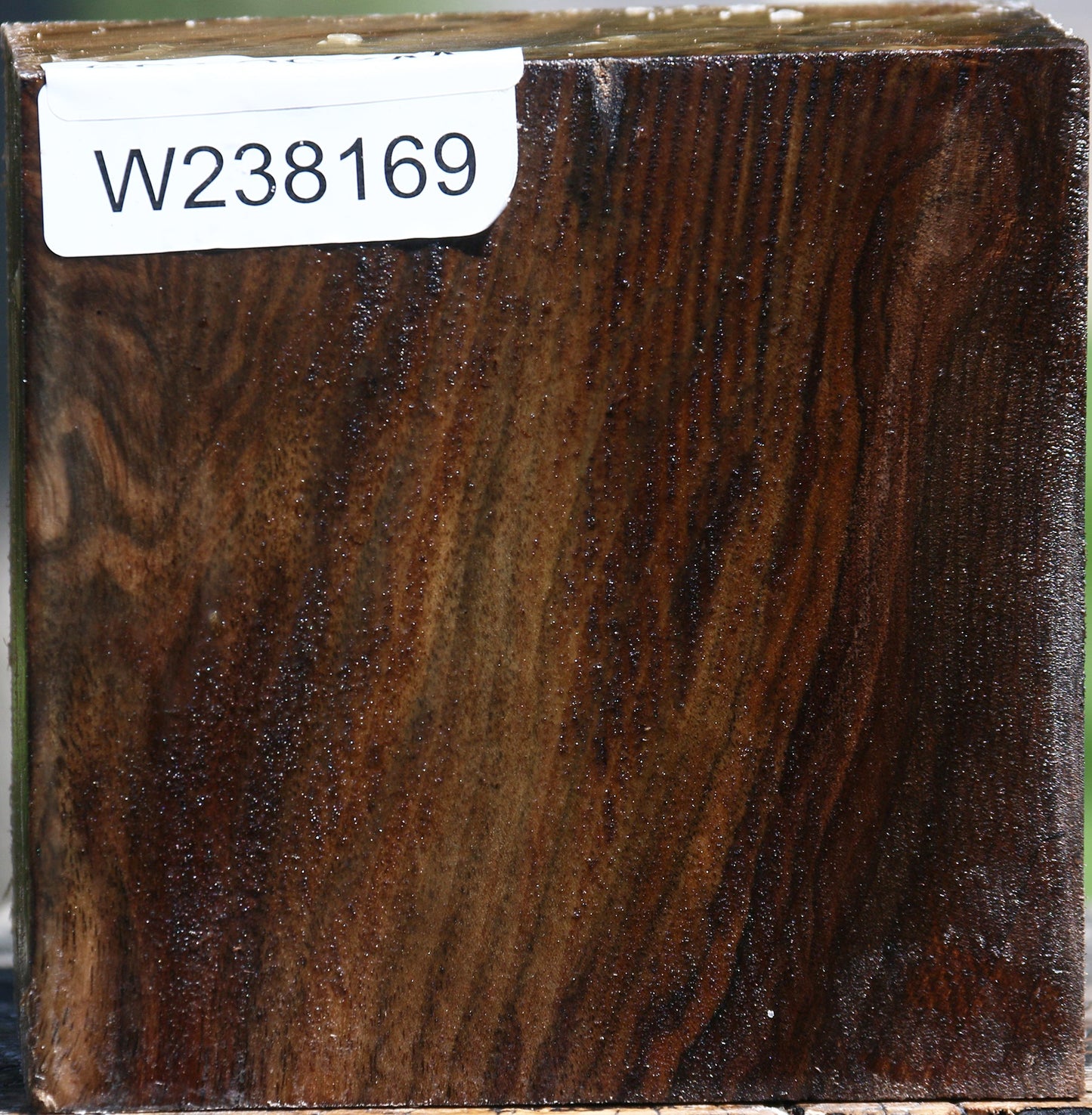 Claro Walnut Bowl Blank