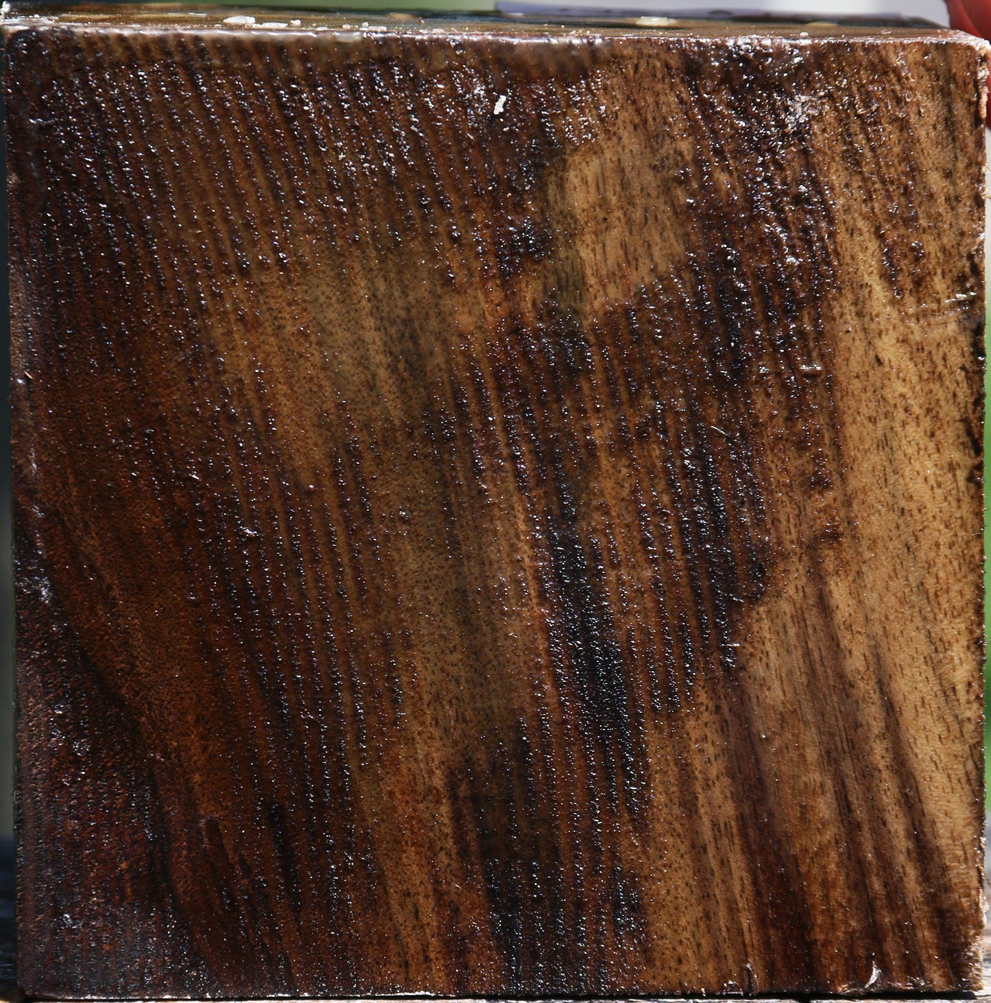 Claro Walnut Bowl Blank