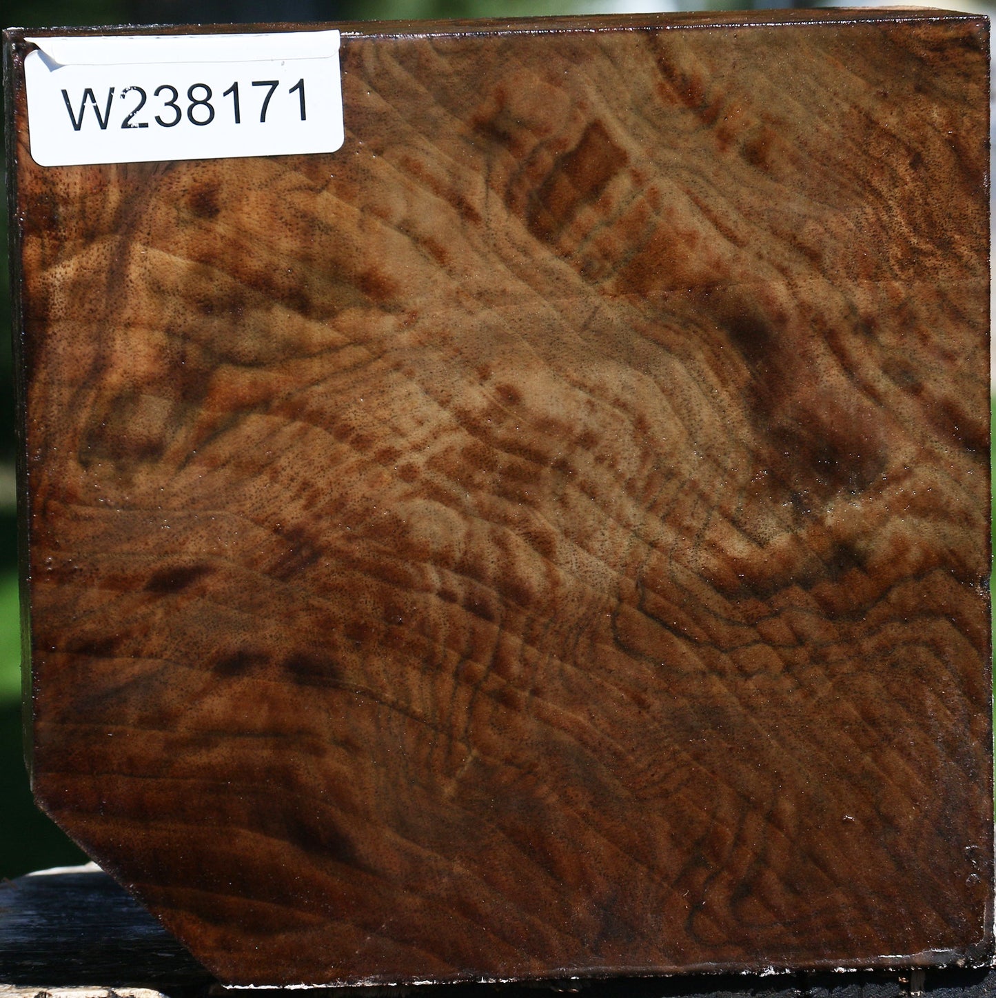 Figured Claro Walnut Bowl Blank