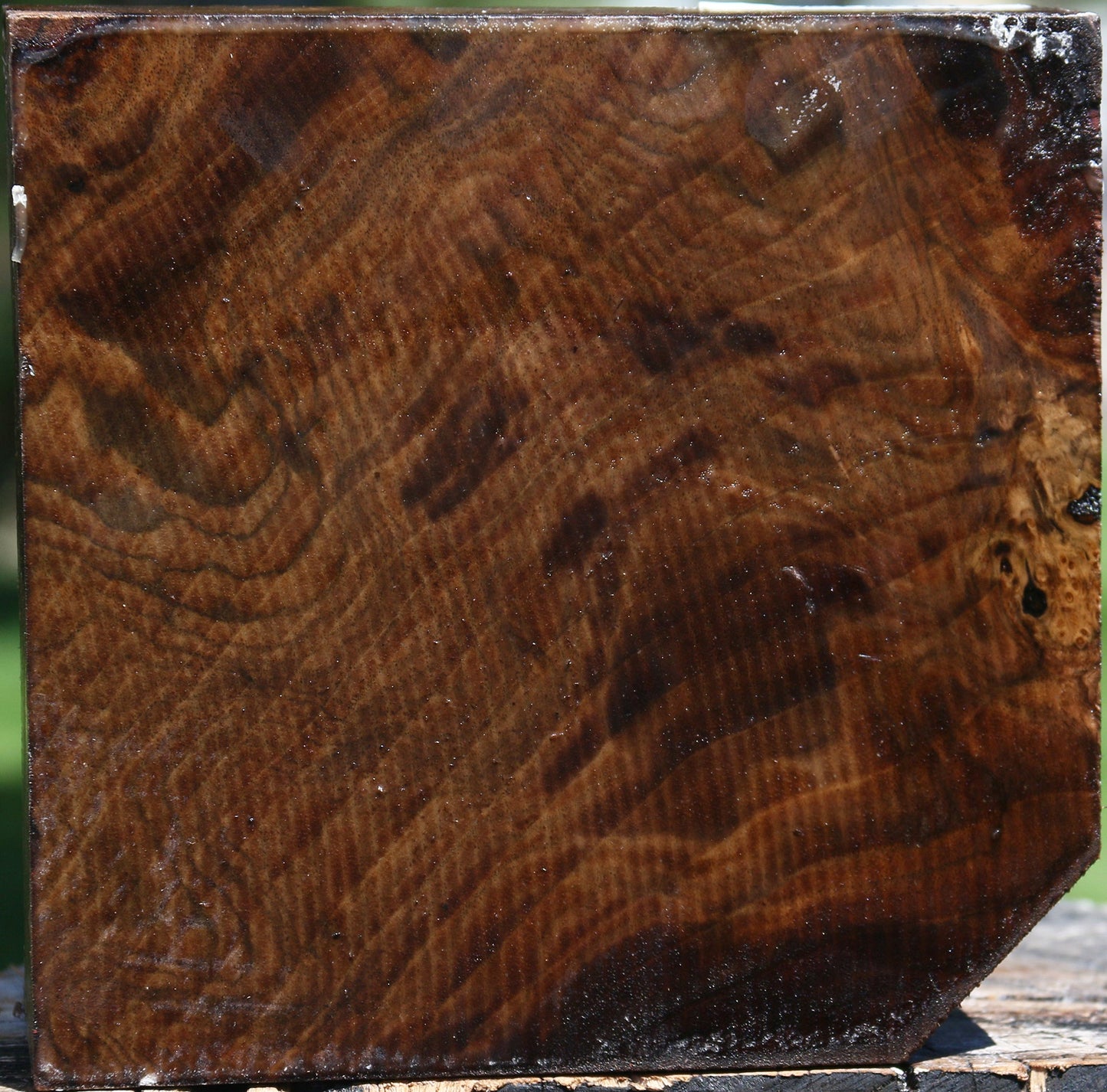 Figured Claro Walnut Bowl Blank