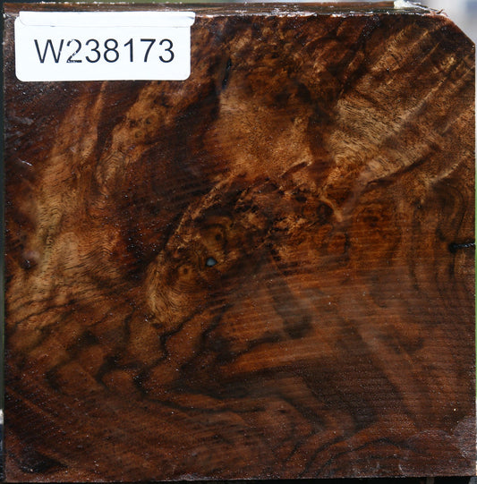 Extra Fancy Claro Walnut Bowl Blank