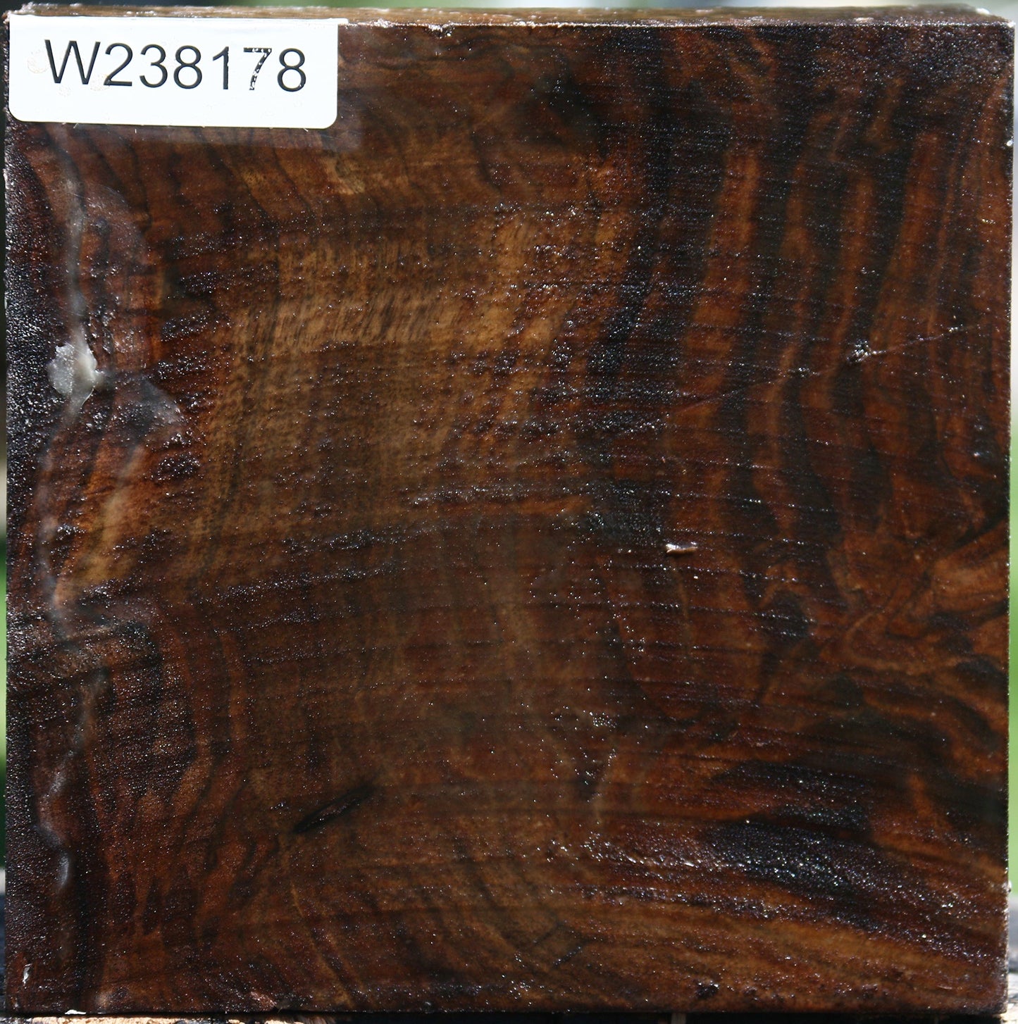 Claro Walnut Bowl Blank