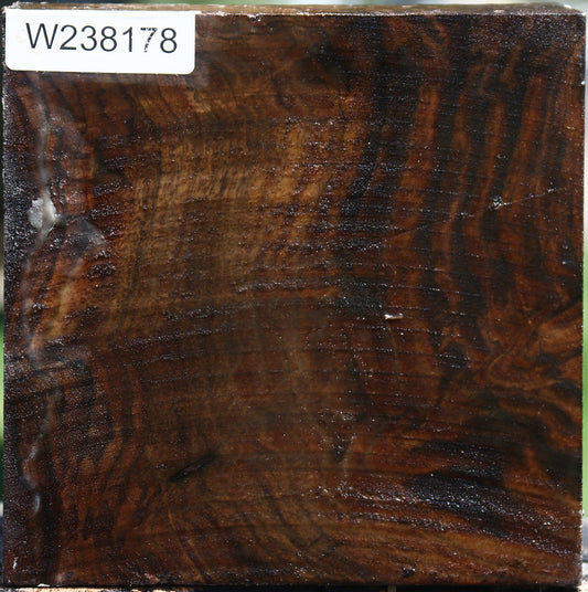 Claro Walnut Bowl Blank