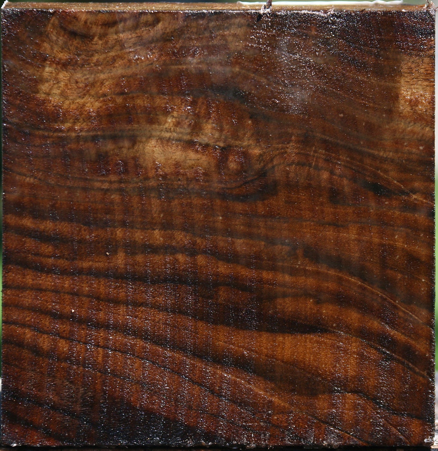 Claro Walnut Bowl Blank