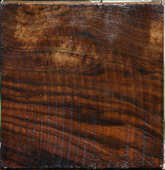 Claro Walnut Bowl Blank