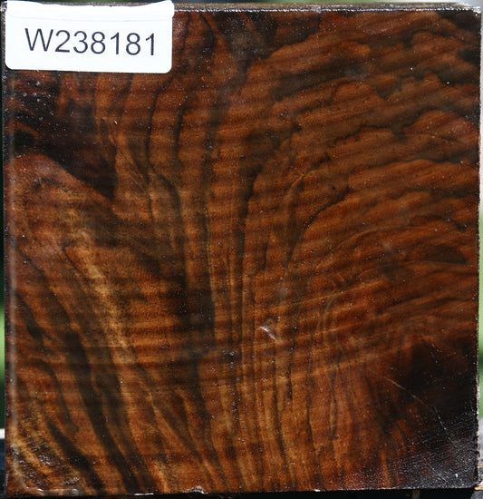 Claro Walnut Bowl Blank