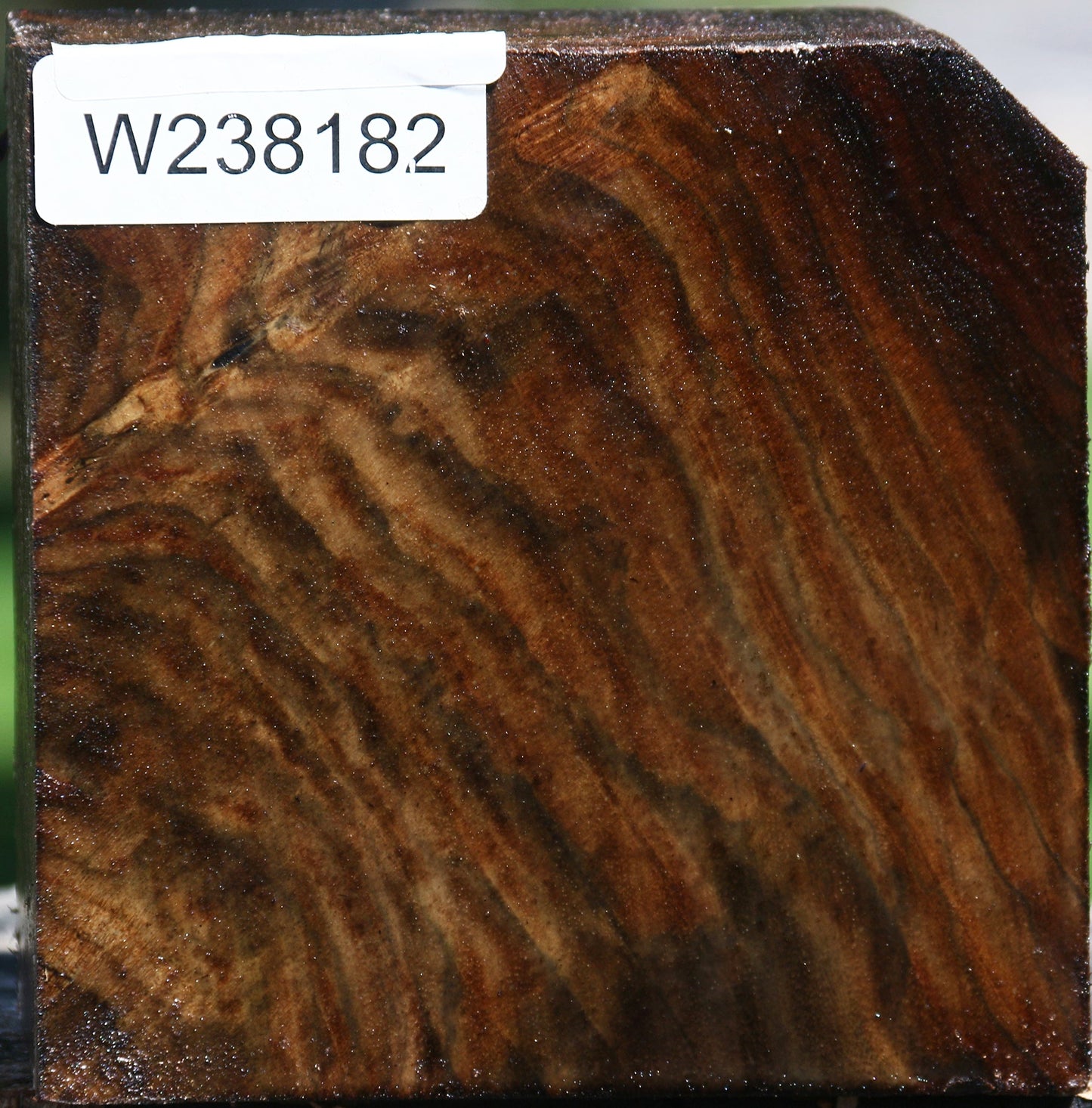 Figured Claro Walnut Bowl Blank