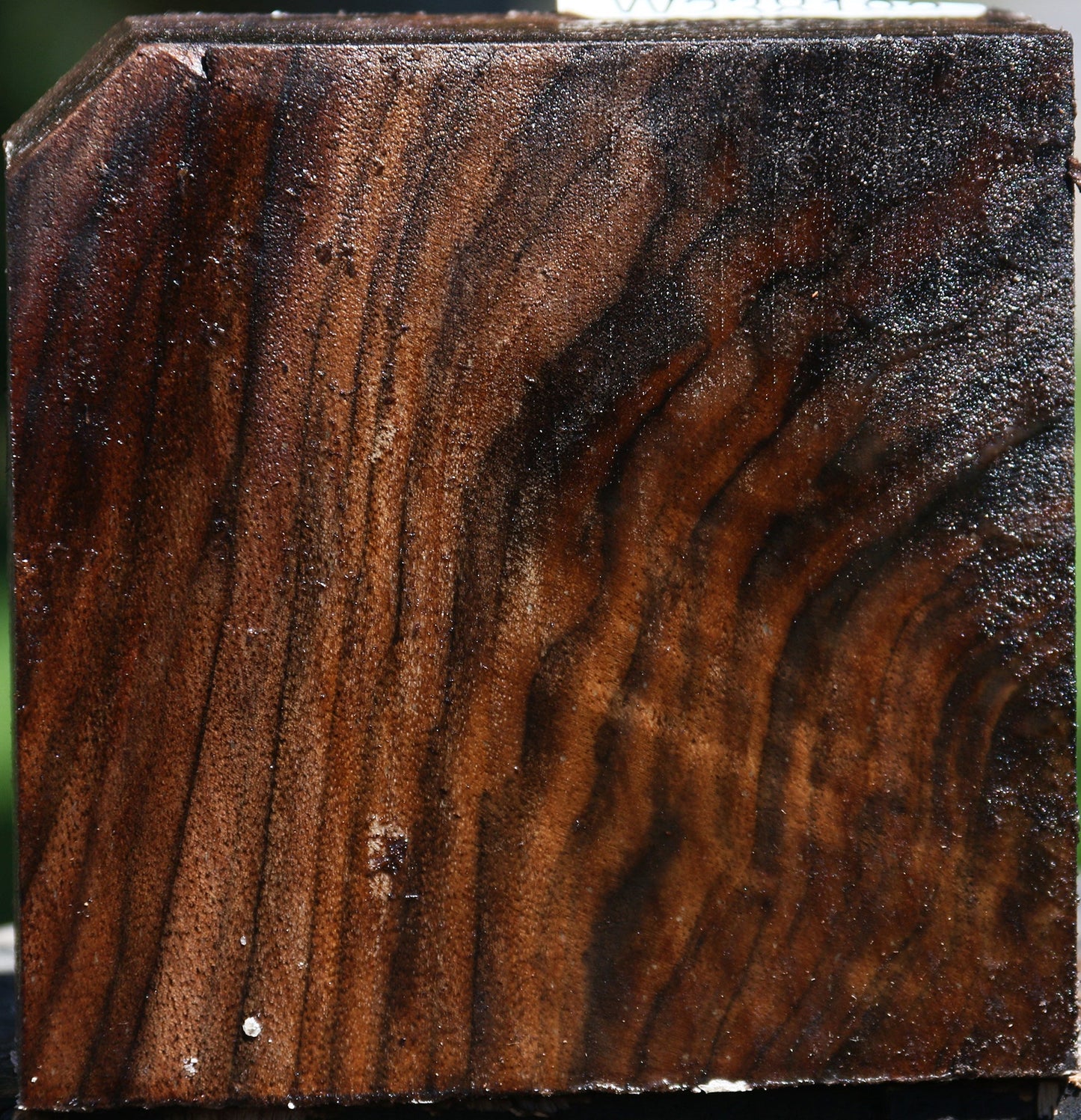 Figured Claro Walnut Bowl Blank