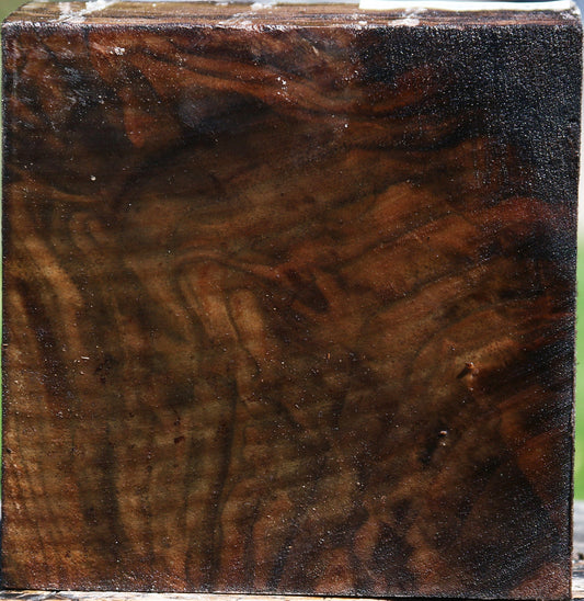 Extra Fancy Claro Walnut Bowl Blank