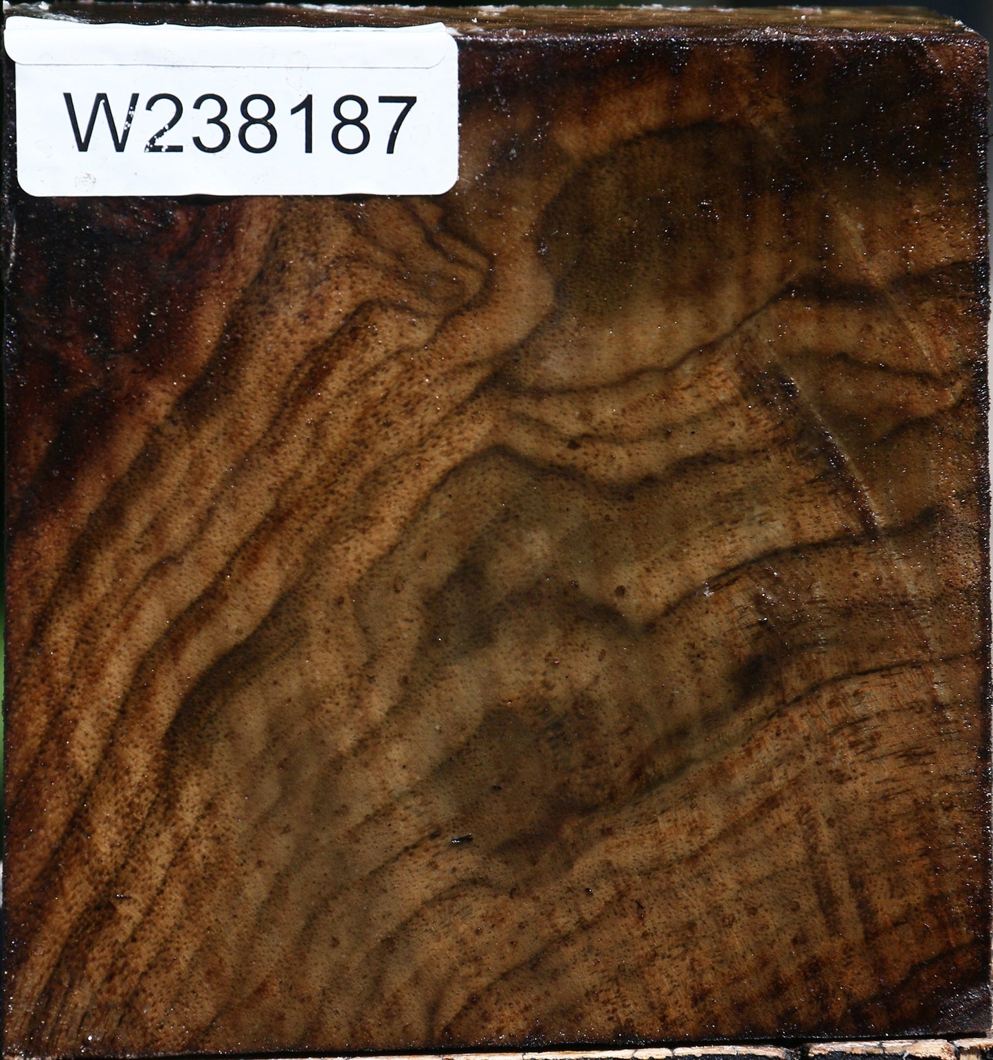 Figured Claro Walnut Bowl Blank