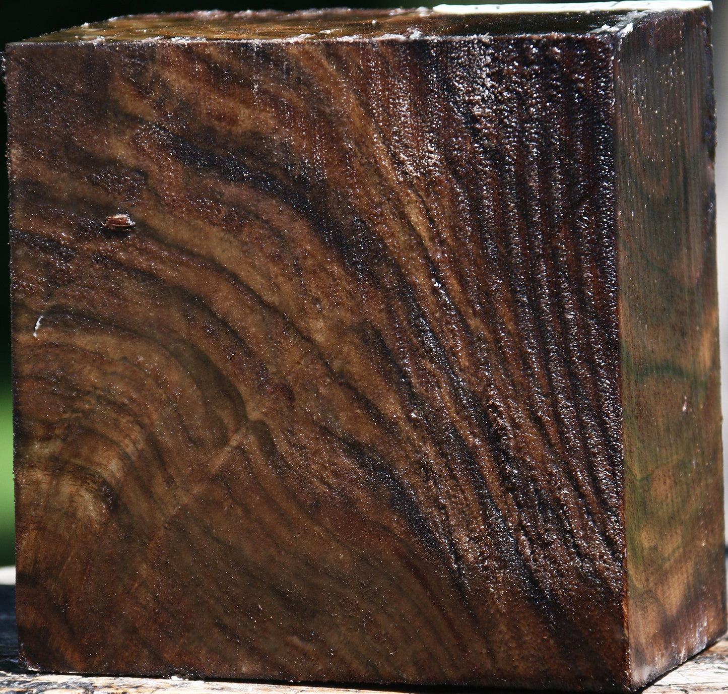 Figured Claro Walnut Bowl Blank