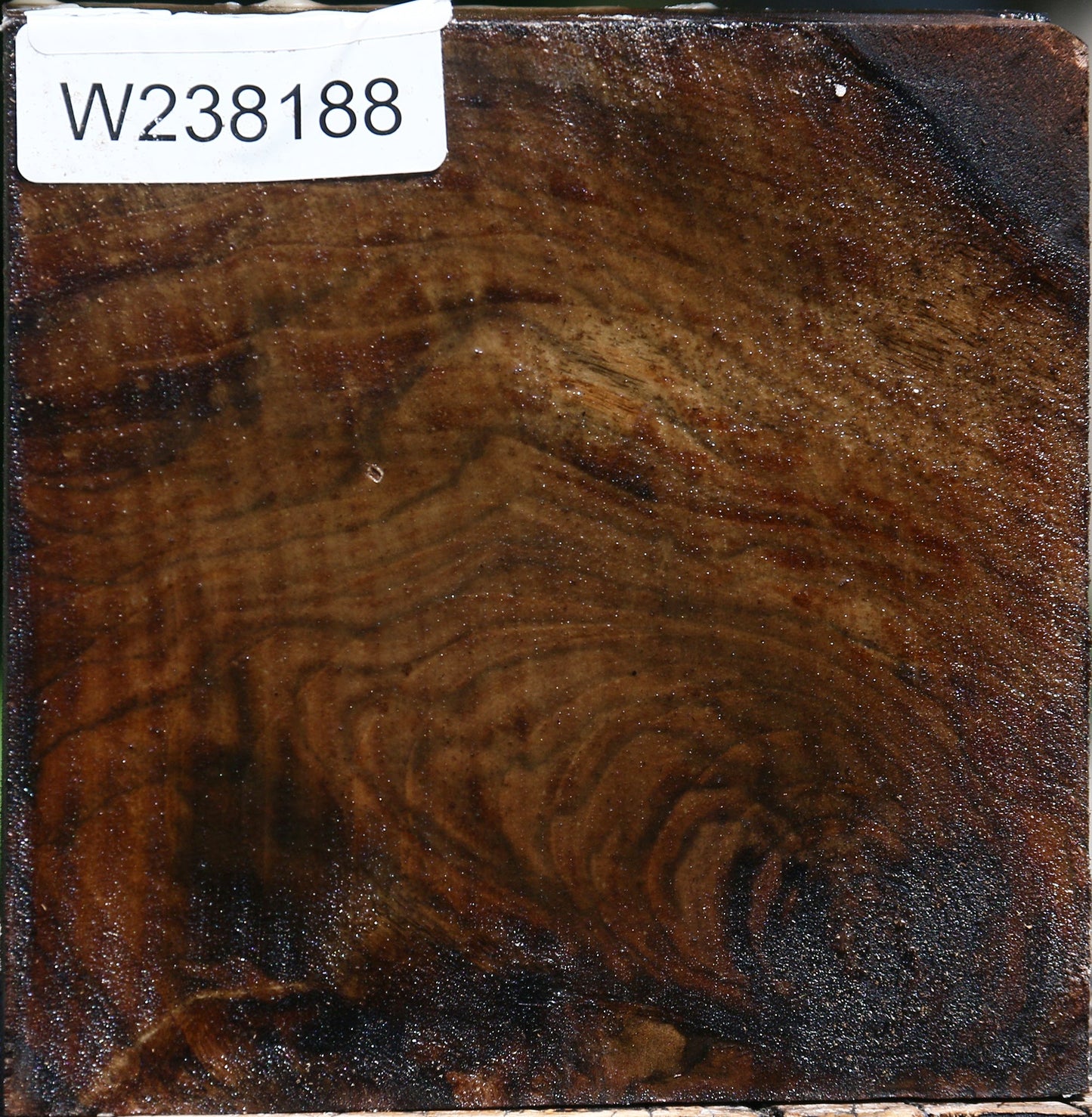 Figured Claro Walnut Bowl Blank