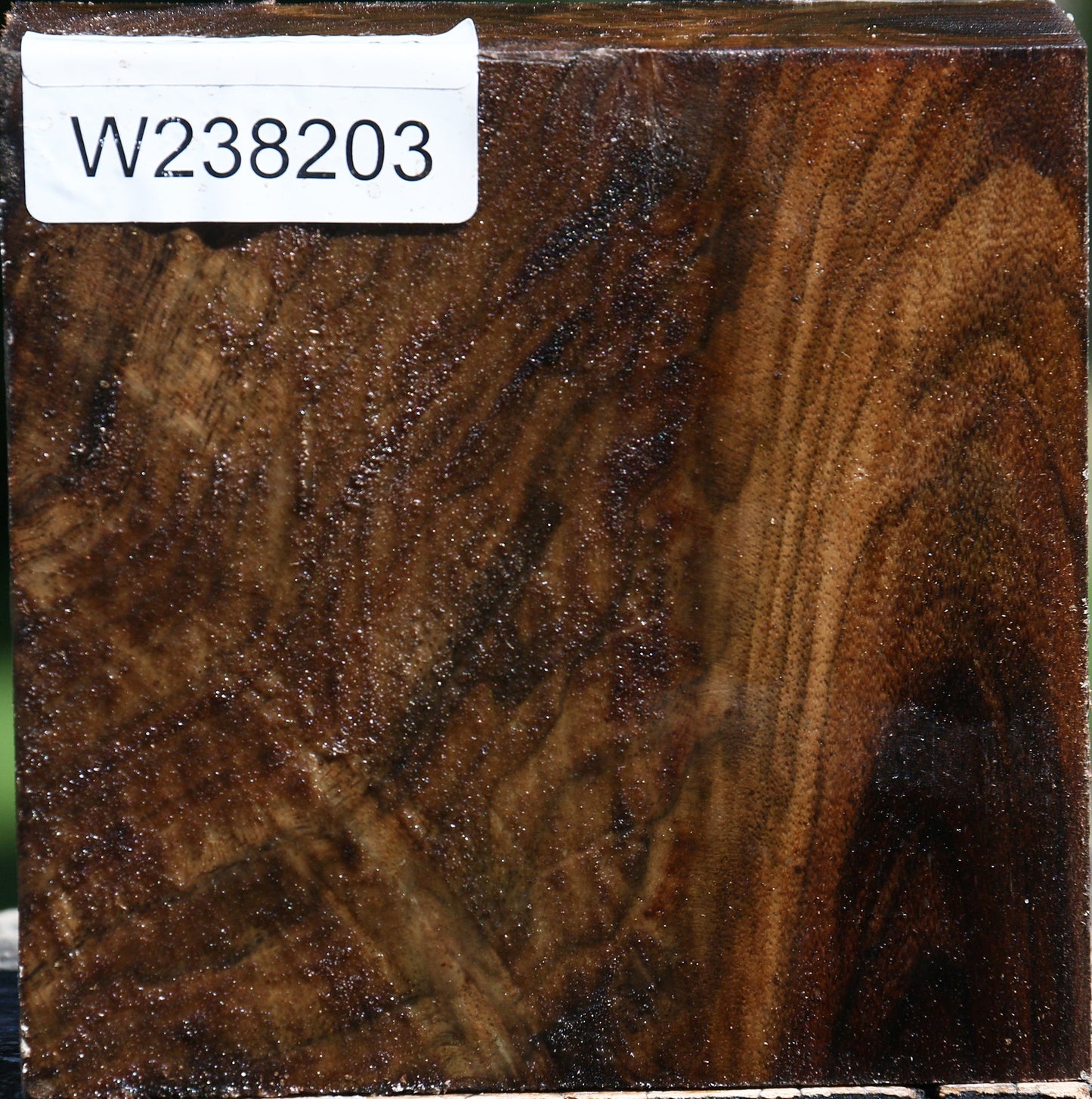 Extra Fancy Claro Walnut Bowl Blank