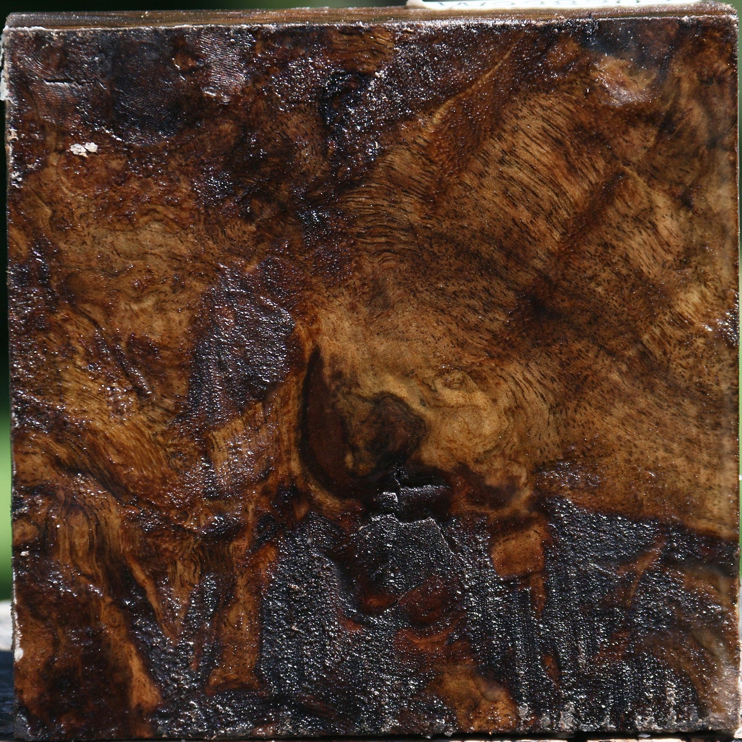 Extra Fancy Claro Walnut Bowl Blank