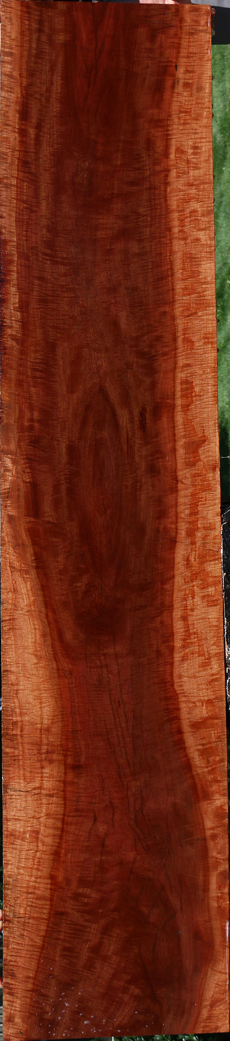 Exhibition Red Milkwood Slab