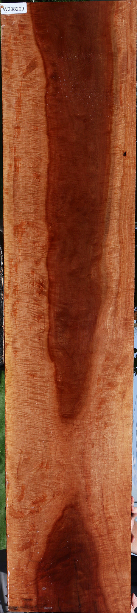 Exhibition Red Milkwood Slab