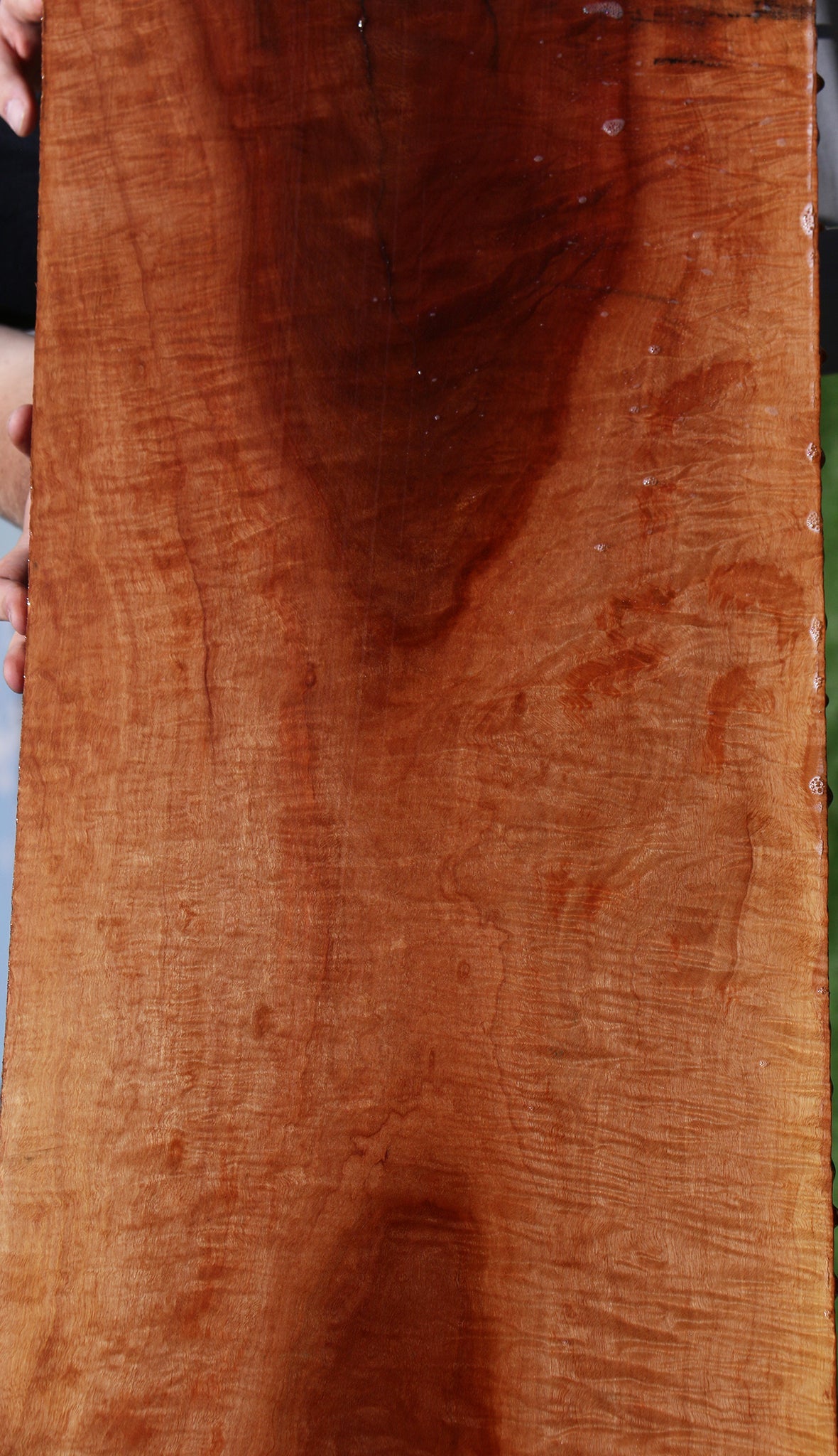 Exhibition Red Milkwood Slab