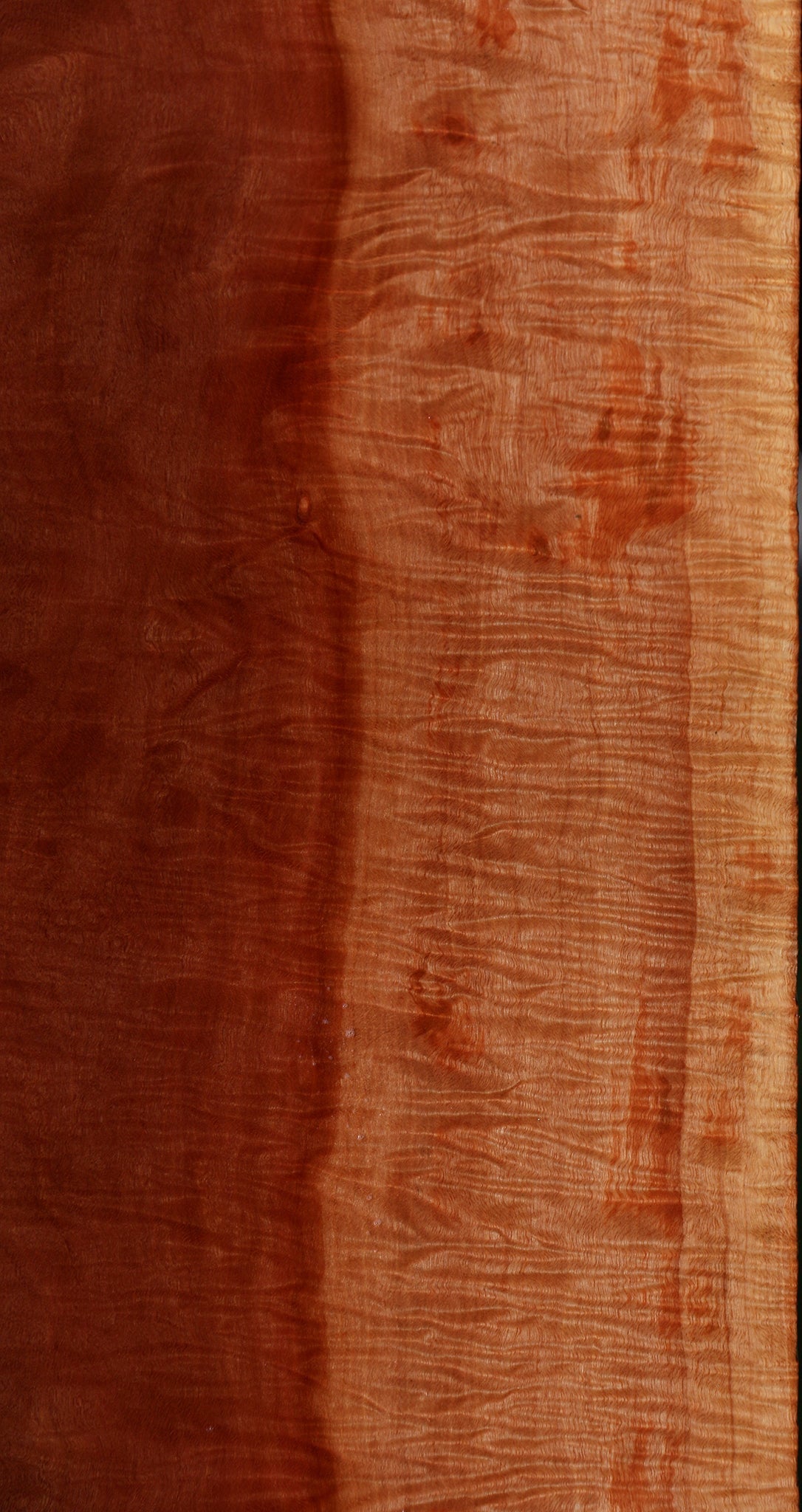 Exhibition Red Milkwood Slab