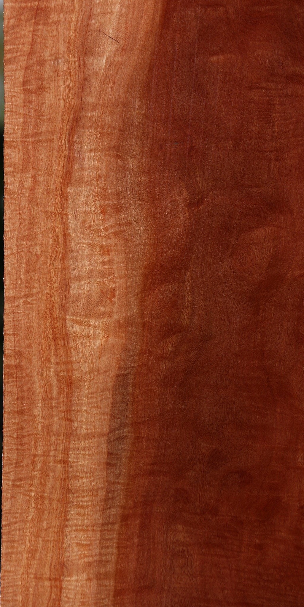 Exhibition Red Milkwood Slab