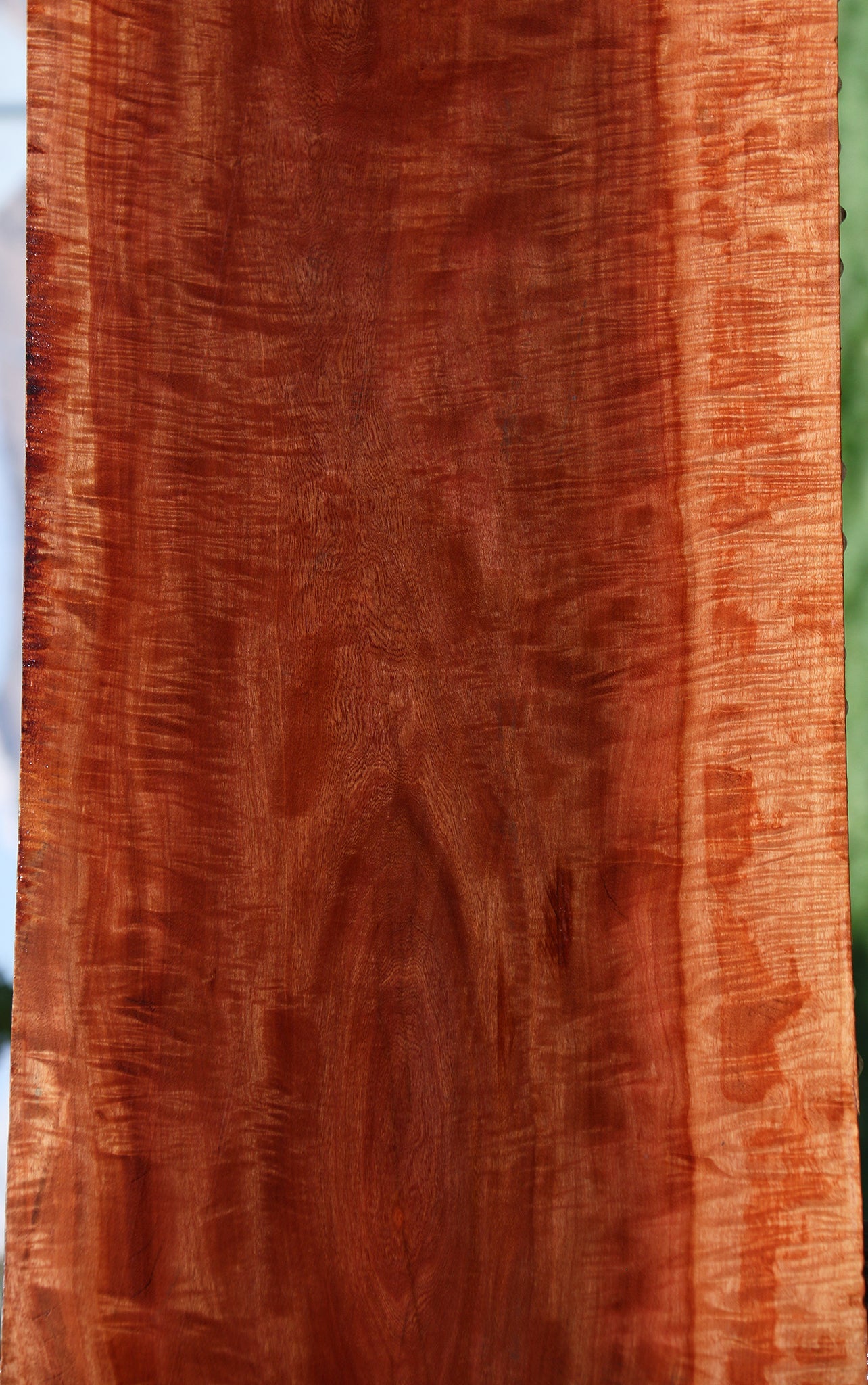 Exhibition Red Milkwood Slab