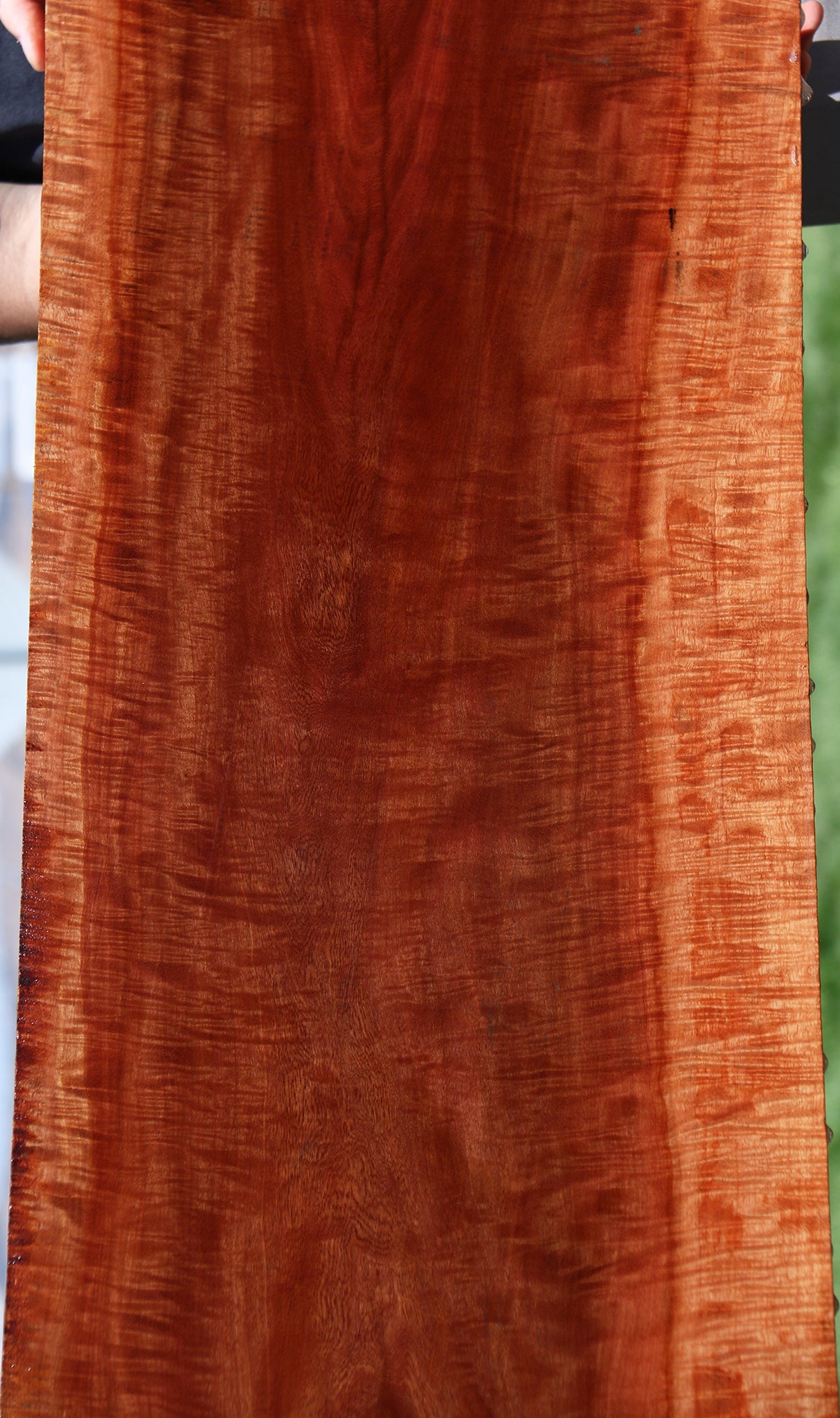 Exhibition Red Milkwood Slab