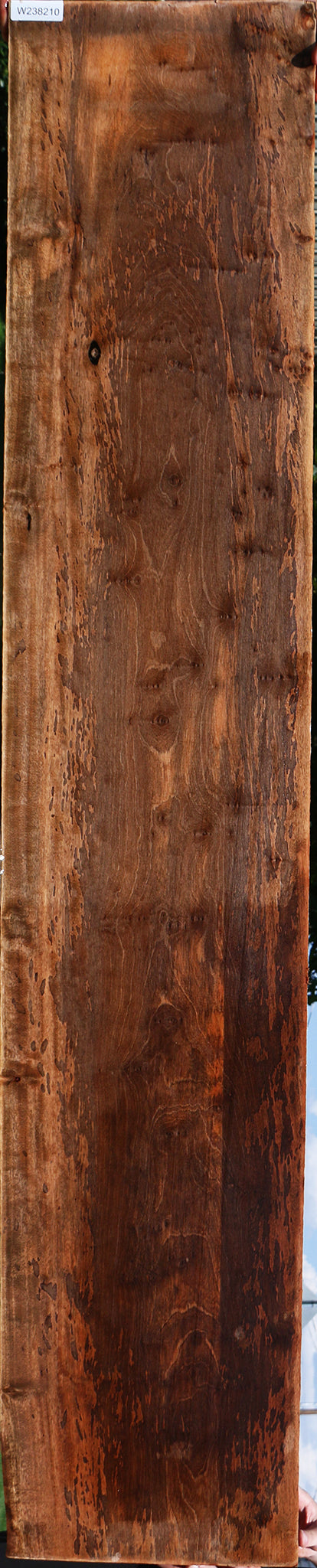 Figured Jackalberry Ebony Slab