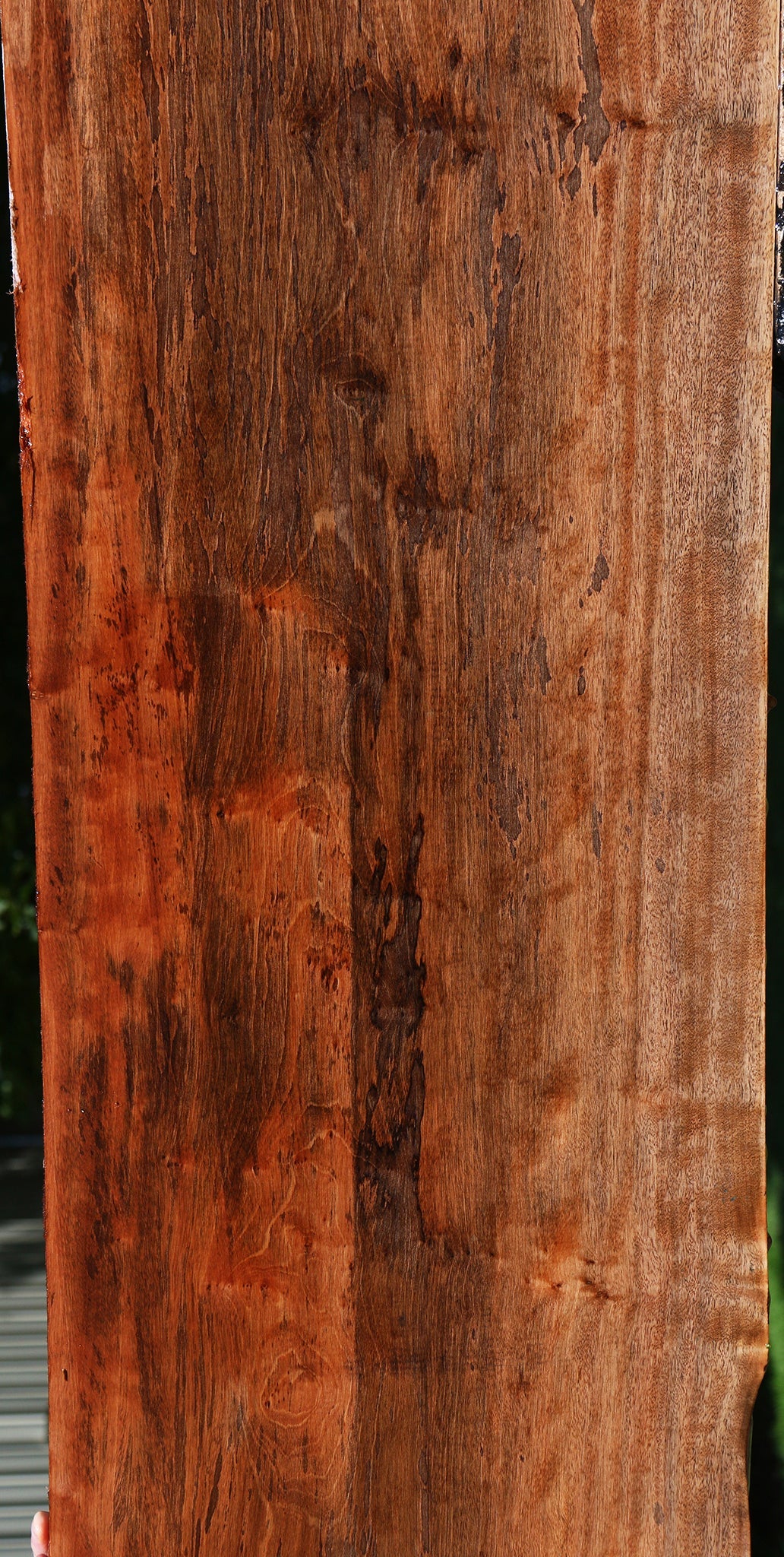 Figured Jackalberry Ebony Slab