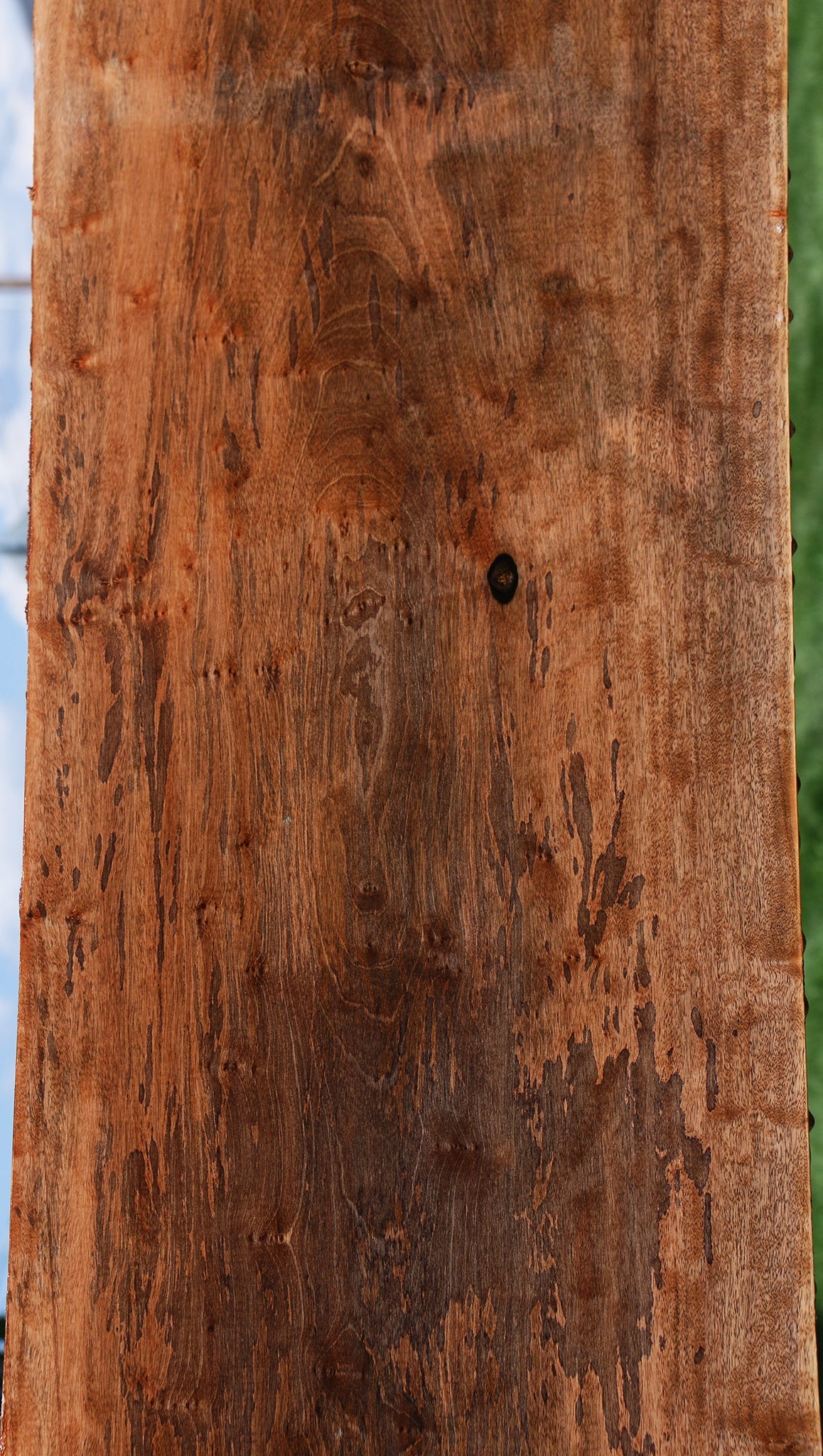 Figured Jackalberry Ebony Slab