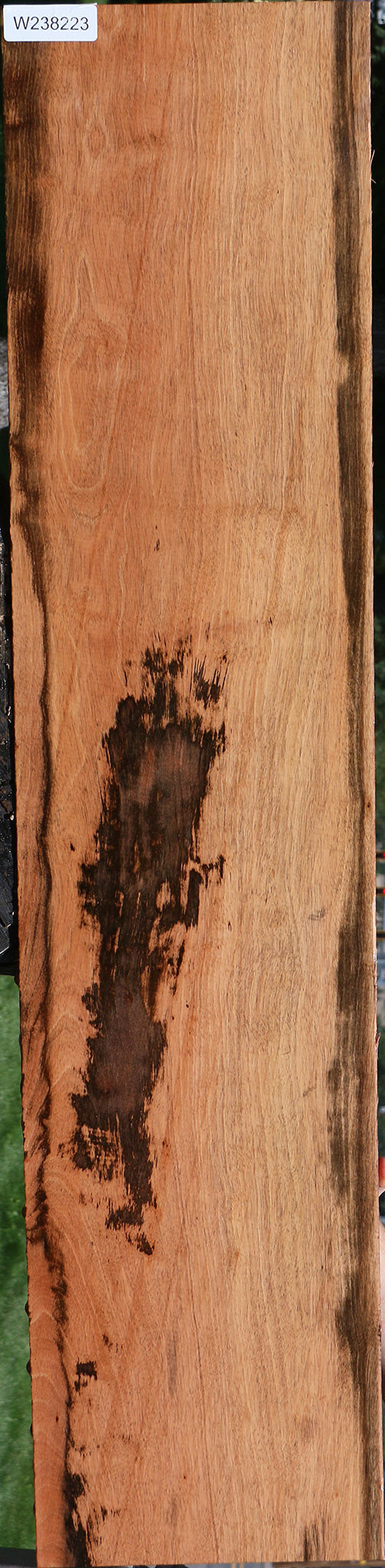 Jackalberry Ebony Lumber