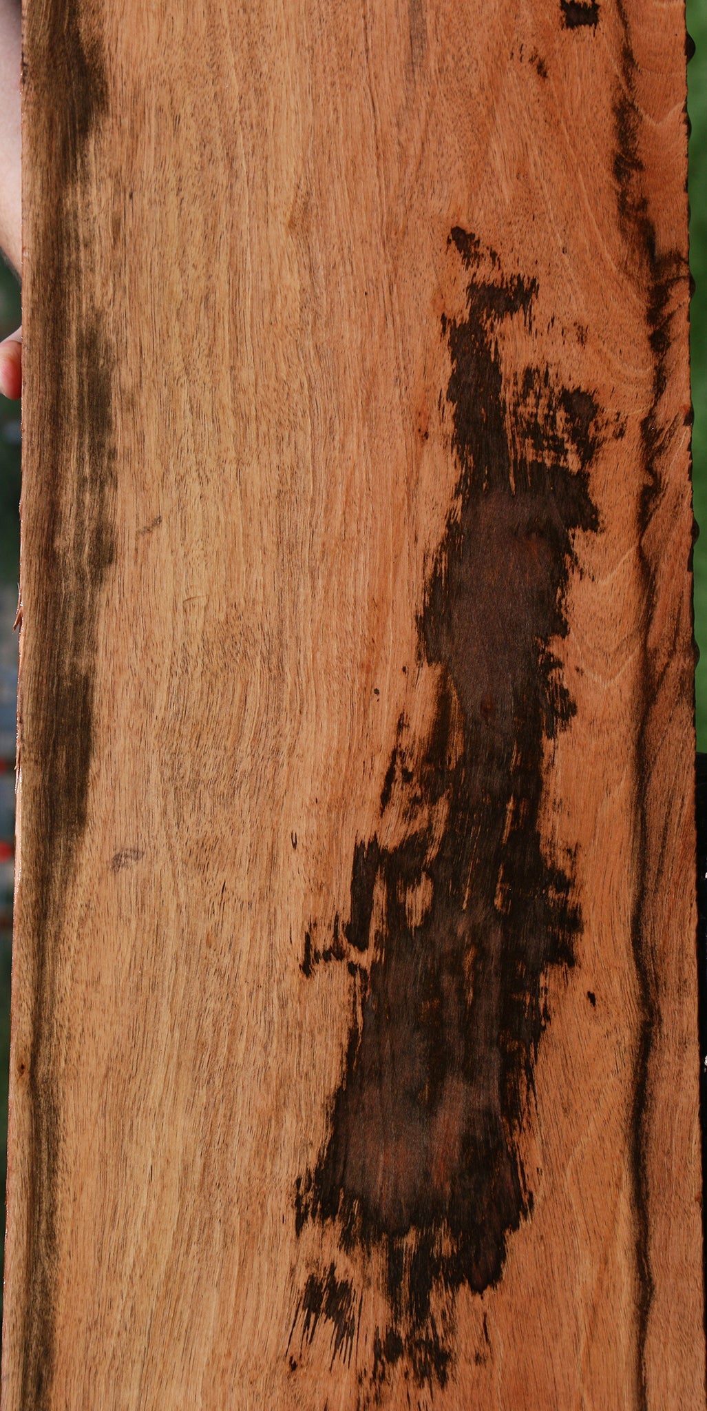 Jackalberry Ebony Lumber