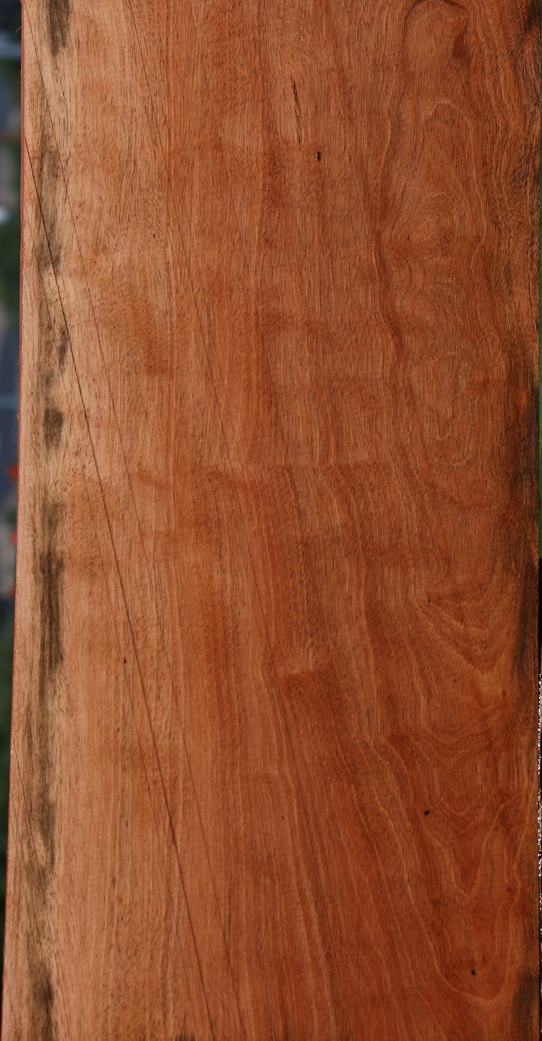 Jackalberry Ebony Lumber