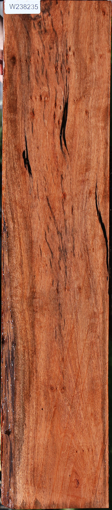Figured Jackalberry Ebony Lumber