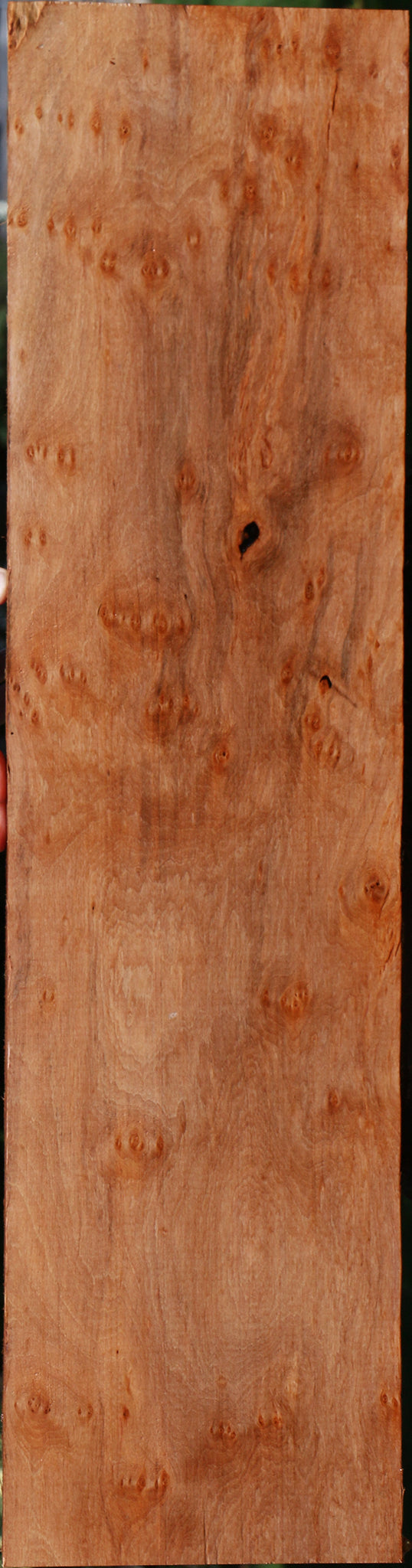 Extra Fancy Jackalberry Ebony Lumber