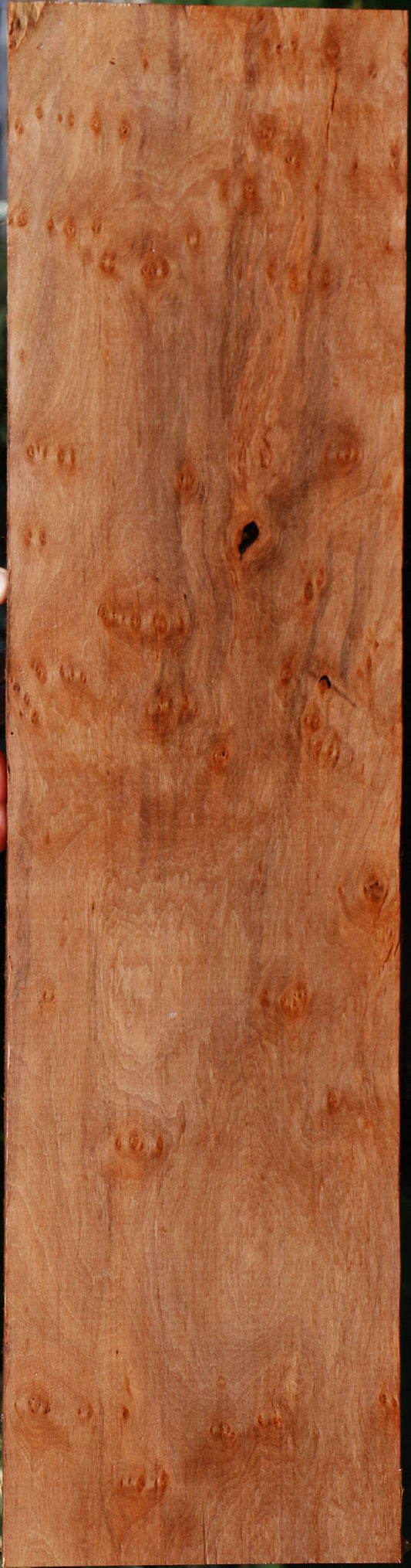 Extra Fancy Jackalberry Ebony Lumber