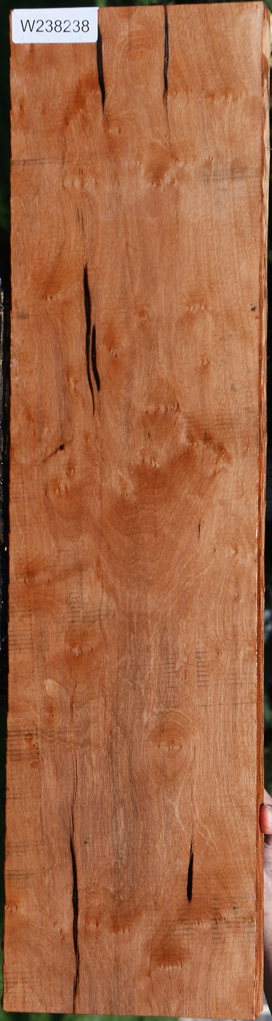 Extra Fancy Jackalberry Ebony Lumber