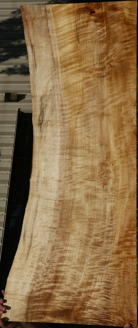 Extra Fancy Black Cottonwood Live Edge Lumber
